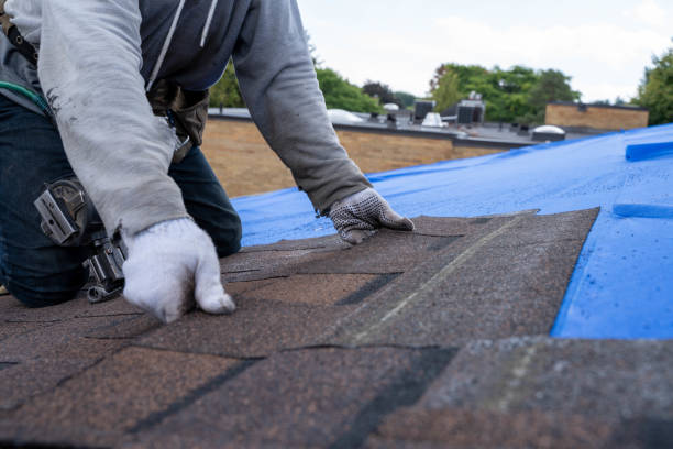 Best Residential Roofing Contractor  in Cheval, FL