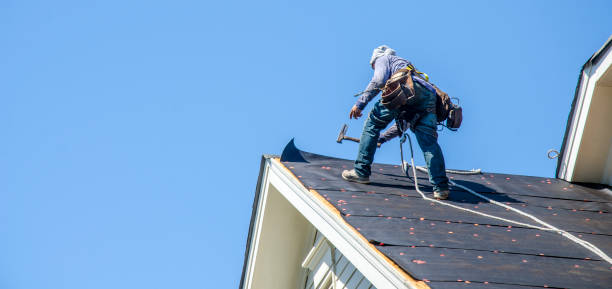 Professional Roofing Contractor in Cheval, FL
